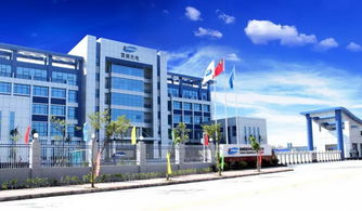 5g 8k,體驗(yàn)今年最火的概念,仲愷這家企業(yè)厲害了